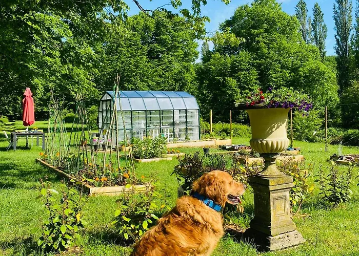 Chateau De La Forge Douville