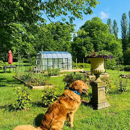 Chateau De La Forge Douville